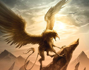 griffon